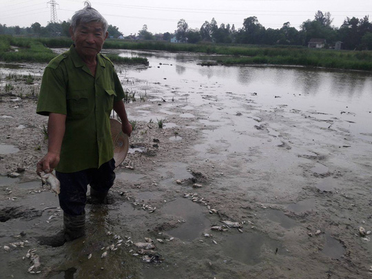 Đ&agrave;[-]Nẵng:[-]C&aacute;[-]chết[-]trắng[-]đồng[-]l&agrave;[-]do[-]nh&agrave;[-]m&aacute;y[-]mạ[-]kẽm[-]xả[-]thải